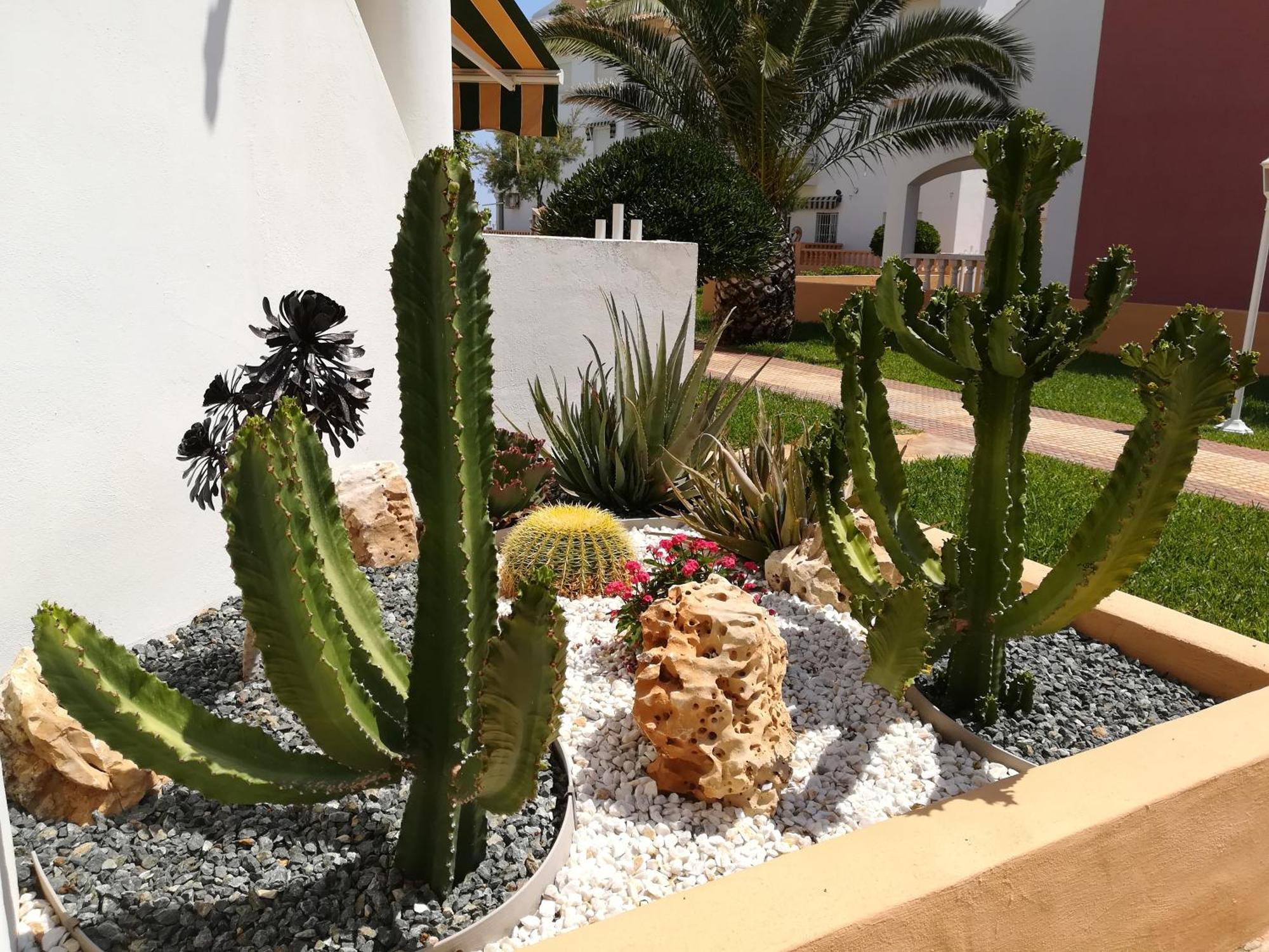 Apartamentos Talima - Btb Denia Exteriör bild